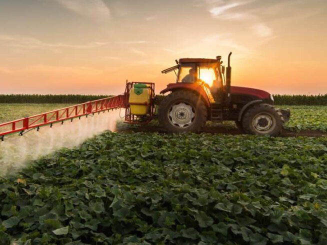 Resíduos de pesticidas nos alimentos, convencionais e biológicos