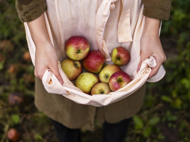 Pomares em Agricultura Biológica – pomóideas e prunóideas